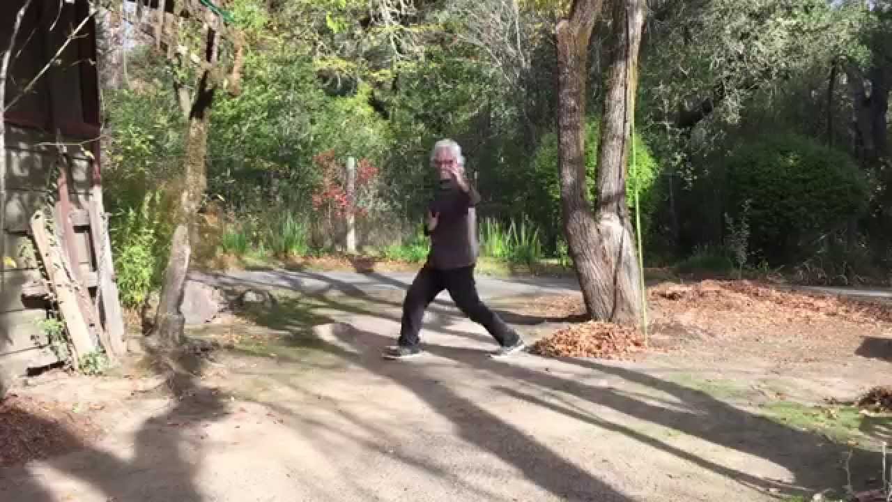 Ba Gua Zhang 八卦掌 8 Palms