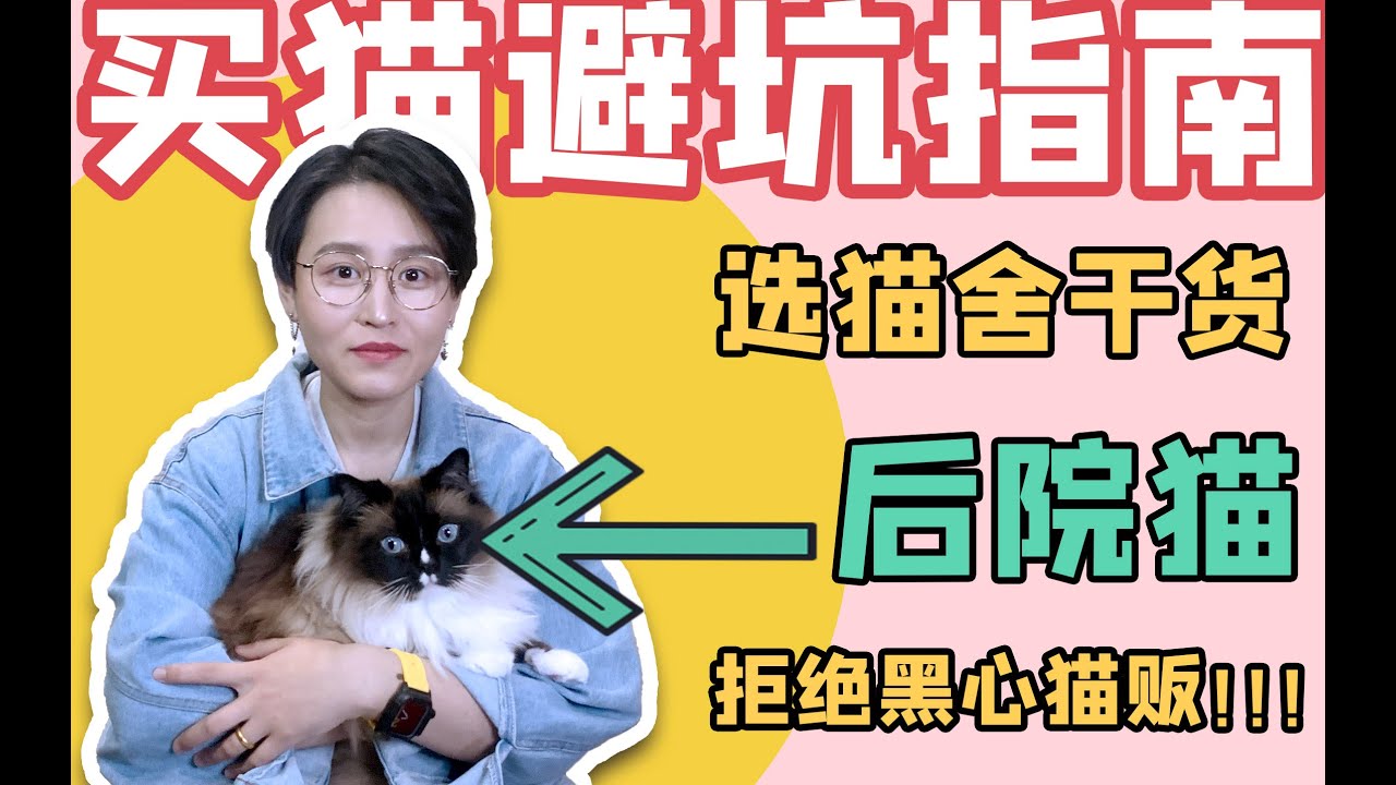 【买品种猫必看】是的，国外也有后院！我们也买过后院猫...| 如何识别后院猫舍？| 买猫前你要知道的事 | 抵制黑心猫贩子