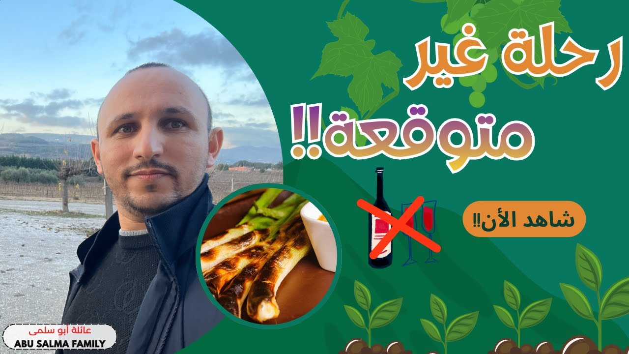 Неожиданное путешествие... Что там произошло?