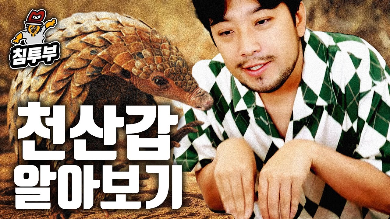 천산갑(Pangolin)에 대해 알아보자