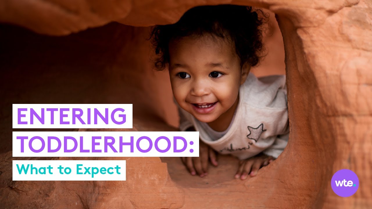 Toddlerhood 101: What to Expect When Your Baby Becomes a Toddler