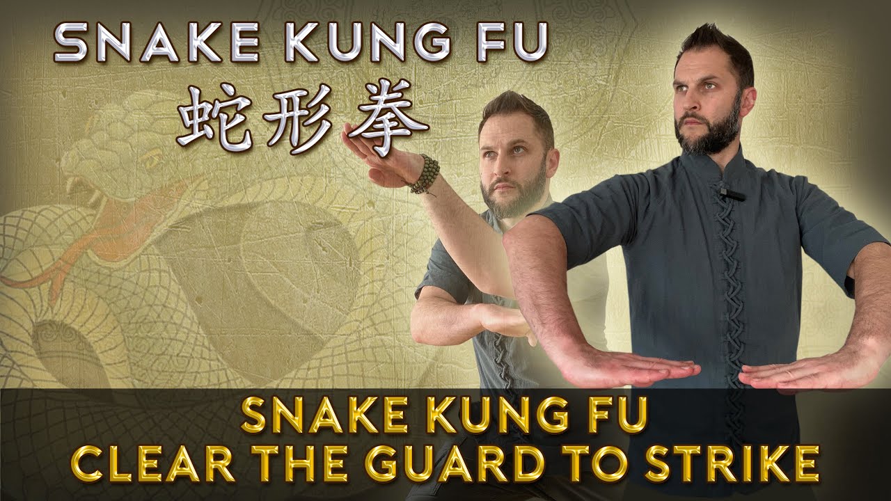 Snake Fist Kung Fu 蛇形拳 Clear the Guard to Strike 🐍