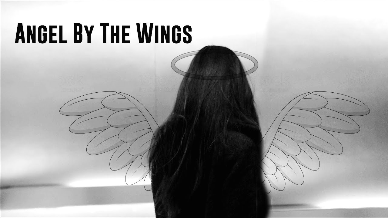 Tony & Ziva | Angel By The Wings | NCIS 17x11 (Tiva)