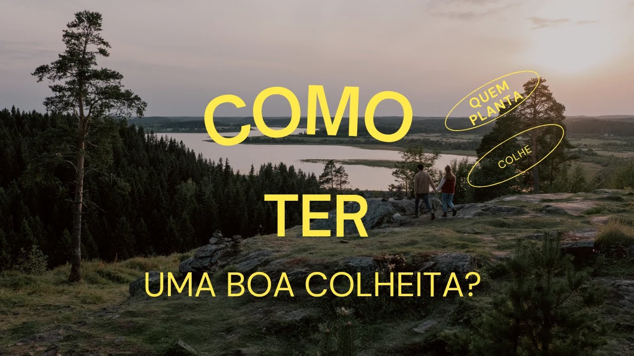 A colheita