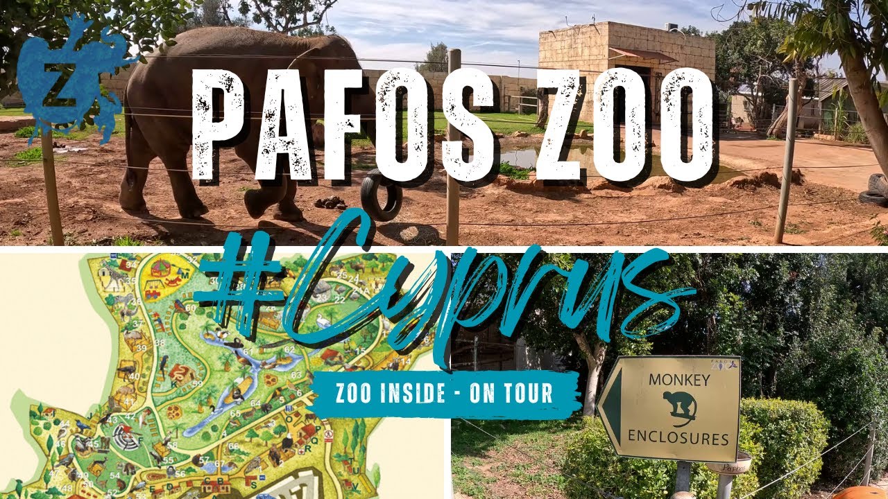 Pafos Zoo - Cyprus