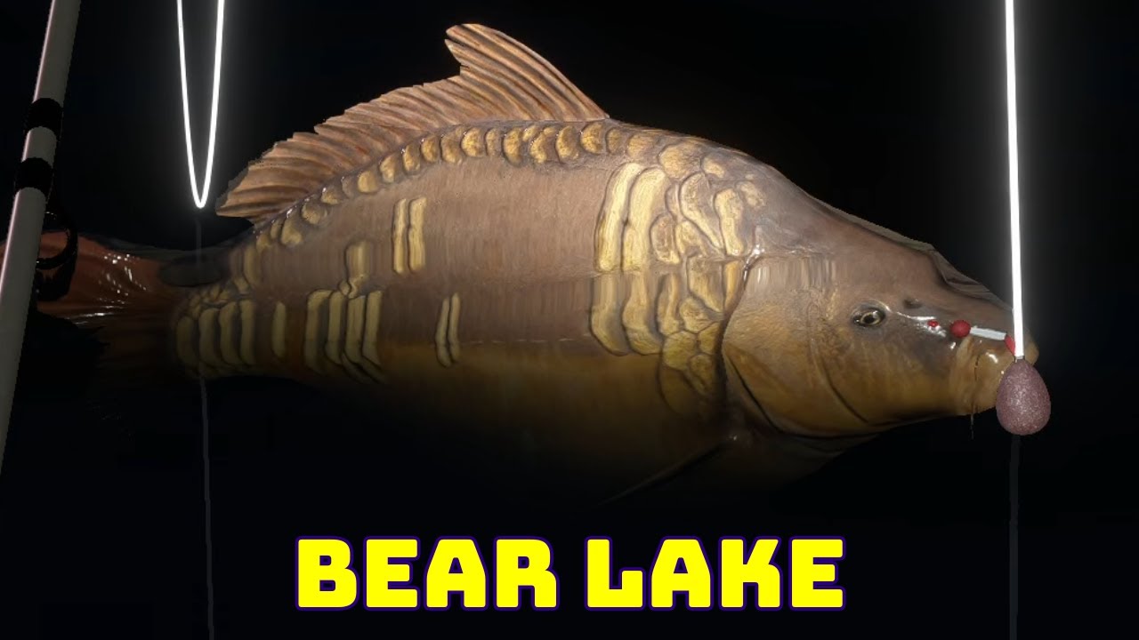 Carp Bear lake (160) Russian Fishing 4