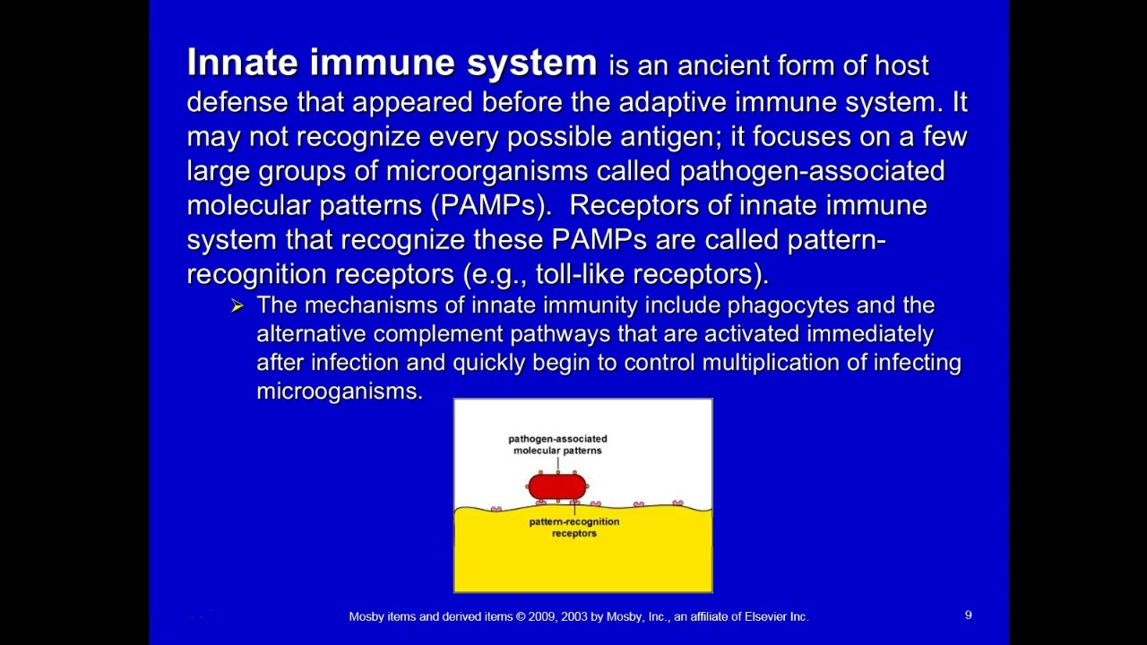 Module 1 Immunology: An introduction to Immunology