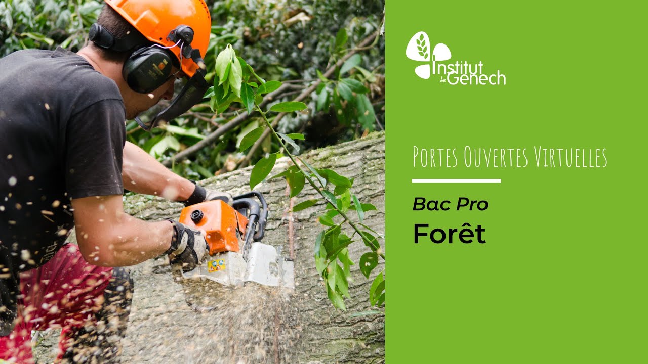 REPLAY - Présentation du Bac Pro Forêt - 10 avril 2021