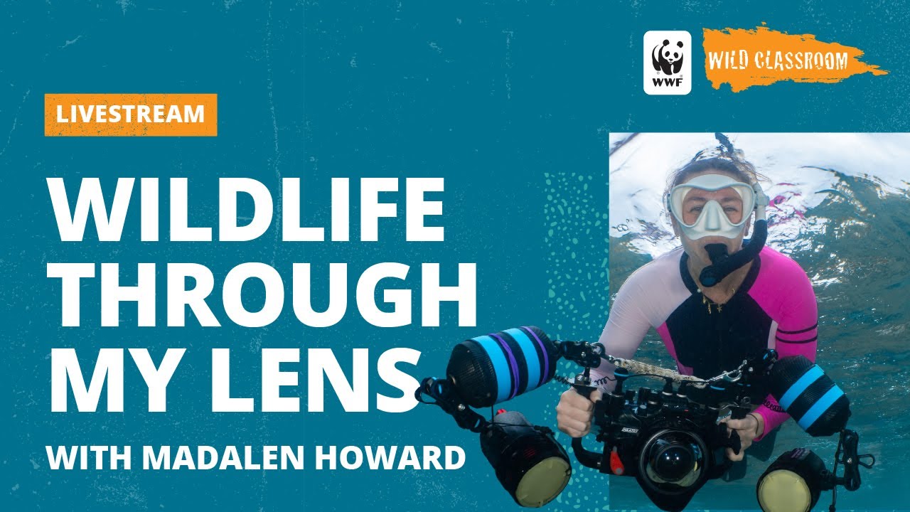 Wildlife Through My Lens with Madalen Howard