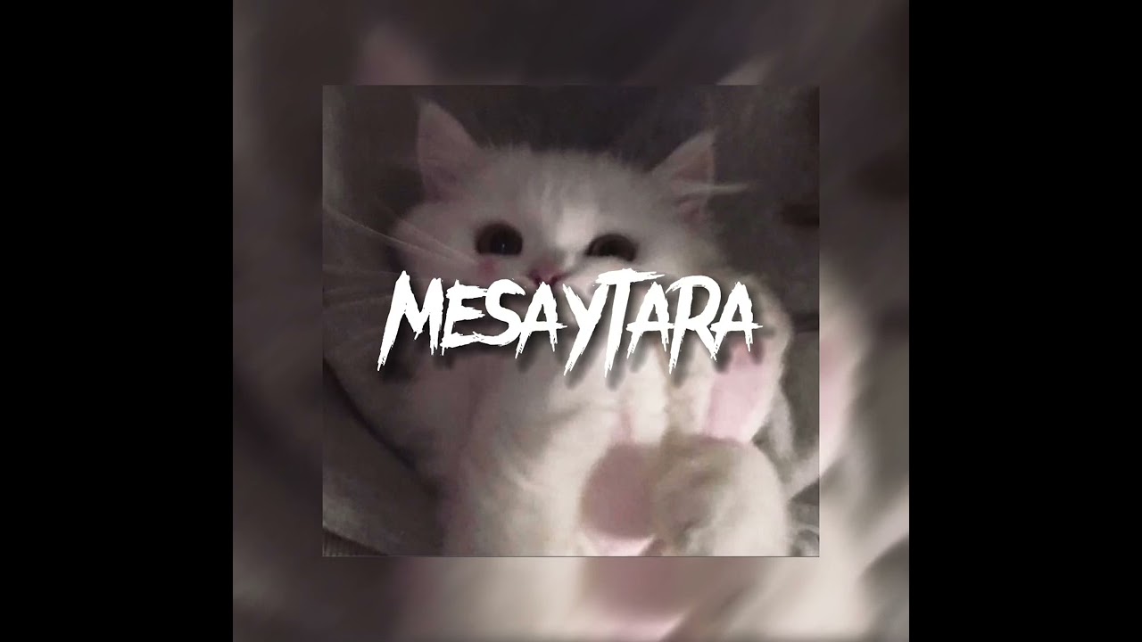 Mesaytara - Lamis Kan (arab song) - speed up | jxvnav