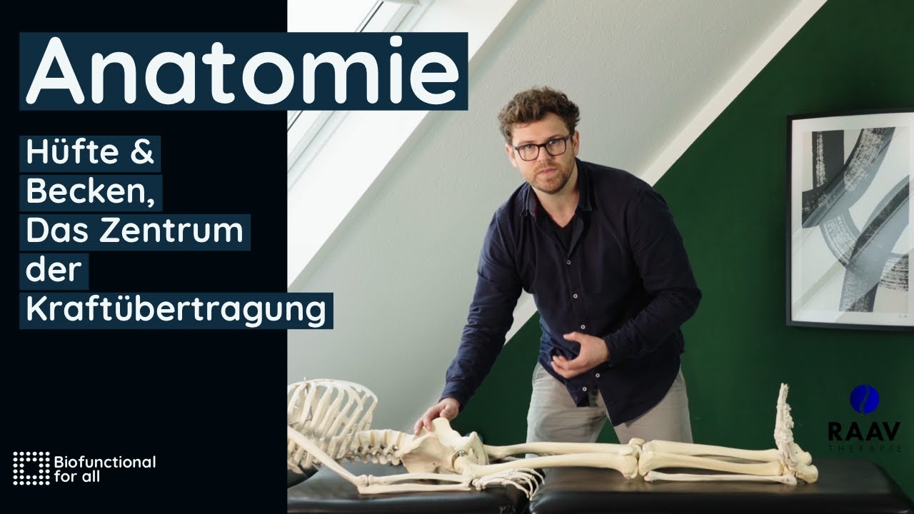 Kurz-Anatomie von Becken und H&uuml;fte - Bei R&uuml;ckenschmerzen und Leistenschmerzen  und Steifheit wichtig