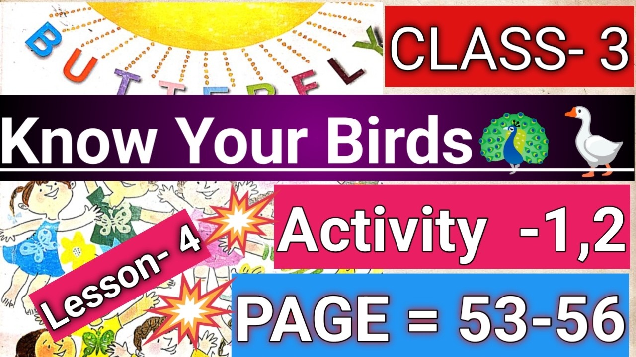 CLASS 3//BUTTERFLY//🎯Lesson 4//Know Your Birds/Page- 53-56/তৃতীয় শ্রেণি/Activity Solved 1,2//