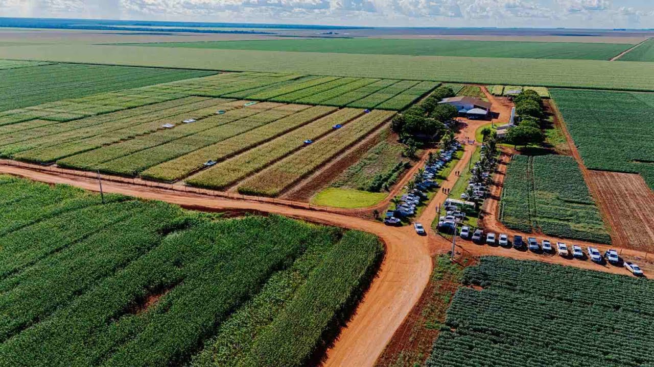 AGBITECH DIA DE CAMPO AGRODINÂMICA 2025