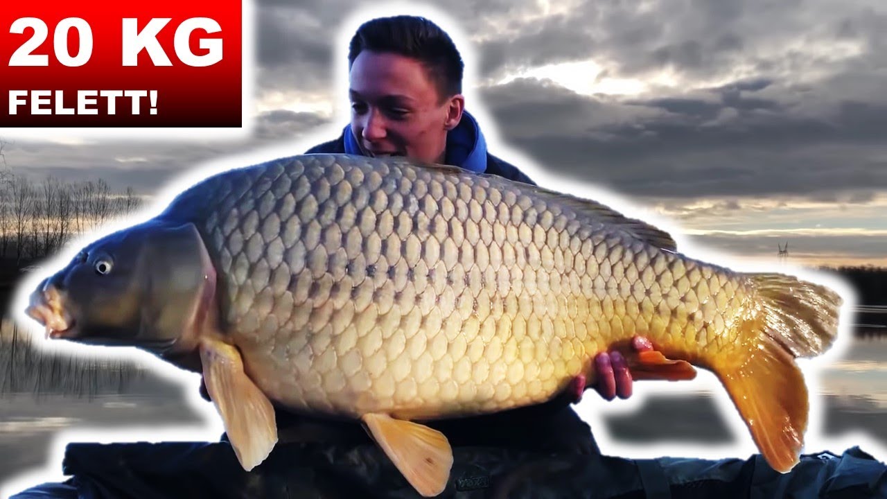20 KG FELETT - A bányatavi óriás története🐳🌬(The FishAIRMan 2. rész)