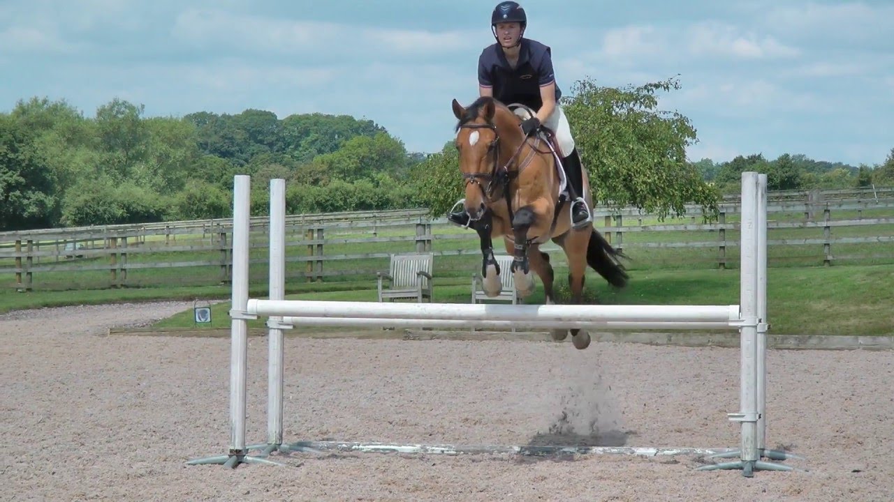 Horse&Rider Magazine &ndash; June 2016