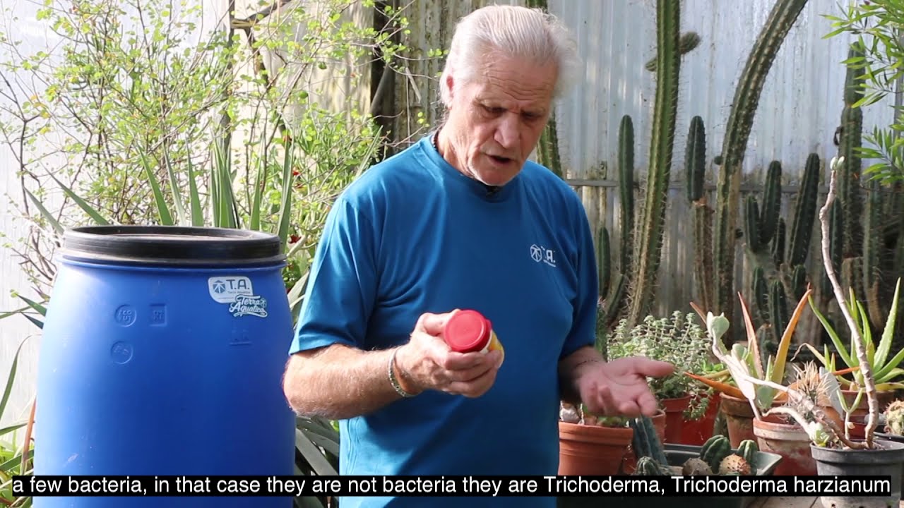 Testing a vegetable Garden for a year
