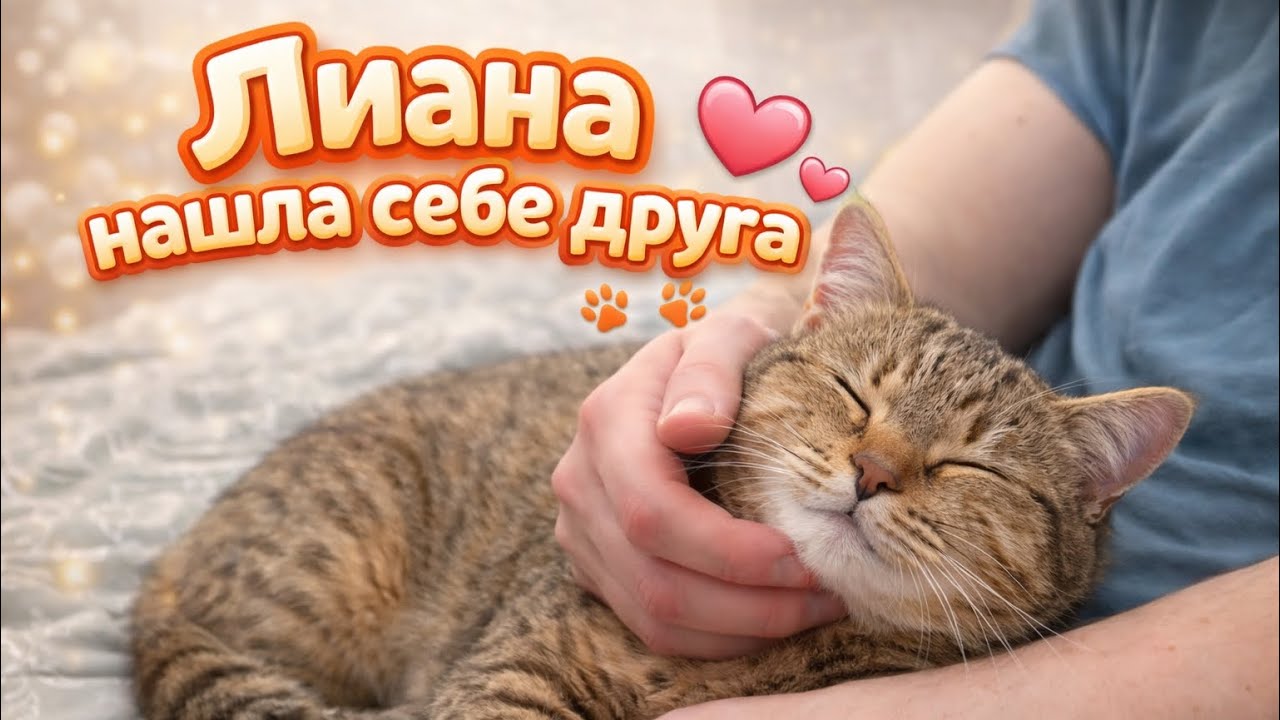 Лиана пошла на ручки к Жоре)))