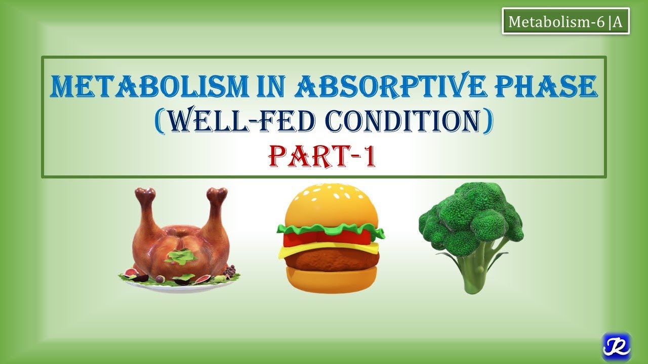 6: Metabolism in in well fed state | Metabolism-6 | Biochemistry | N'JOY Biochemistry