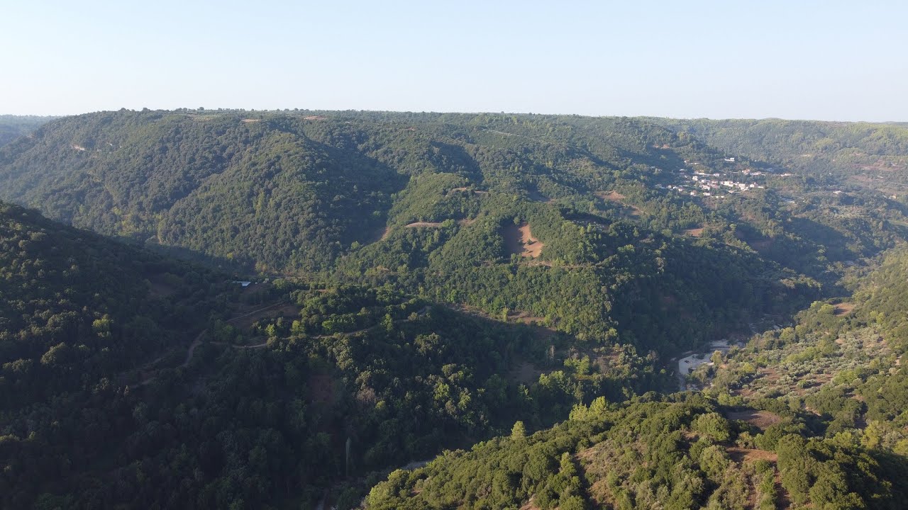 ΚΛΙΝΔΙΑ ΗΛΕΙΑΣ ΑΠΟ ΨΗΛΑ