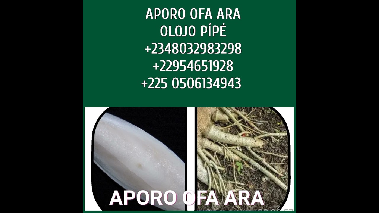 APORO OFA ARA, +2348032983298, +22954651928, +225 0506134943