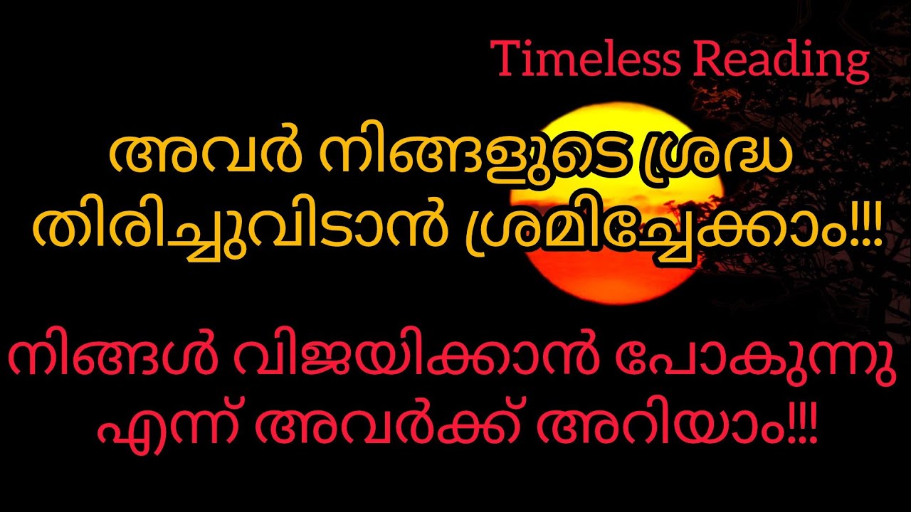 ചില വ്യക്തികൾക്ക് വേണ്ടി നിങ്ങളുടെ എനർജി നഷ്ടപ്പെടുത്തി കളയരുത് #tarot 