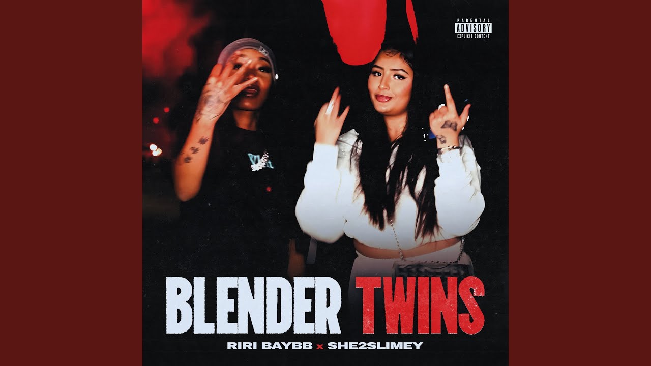 Blender Twins