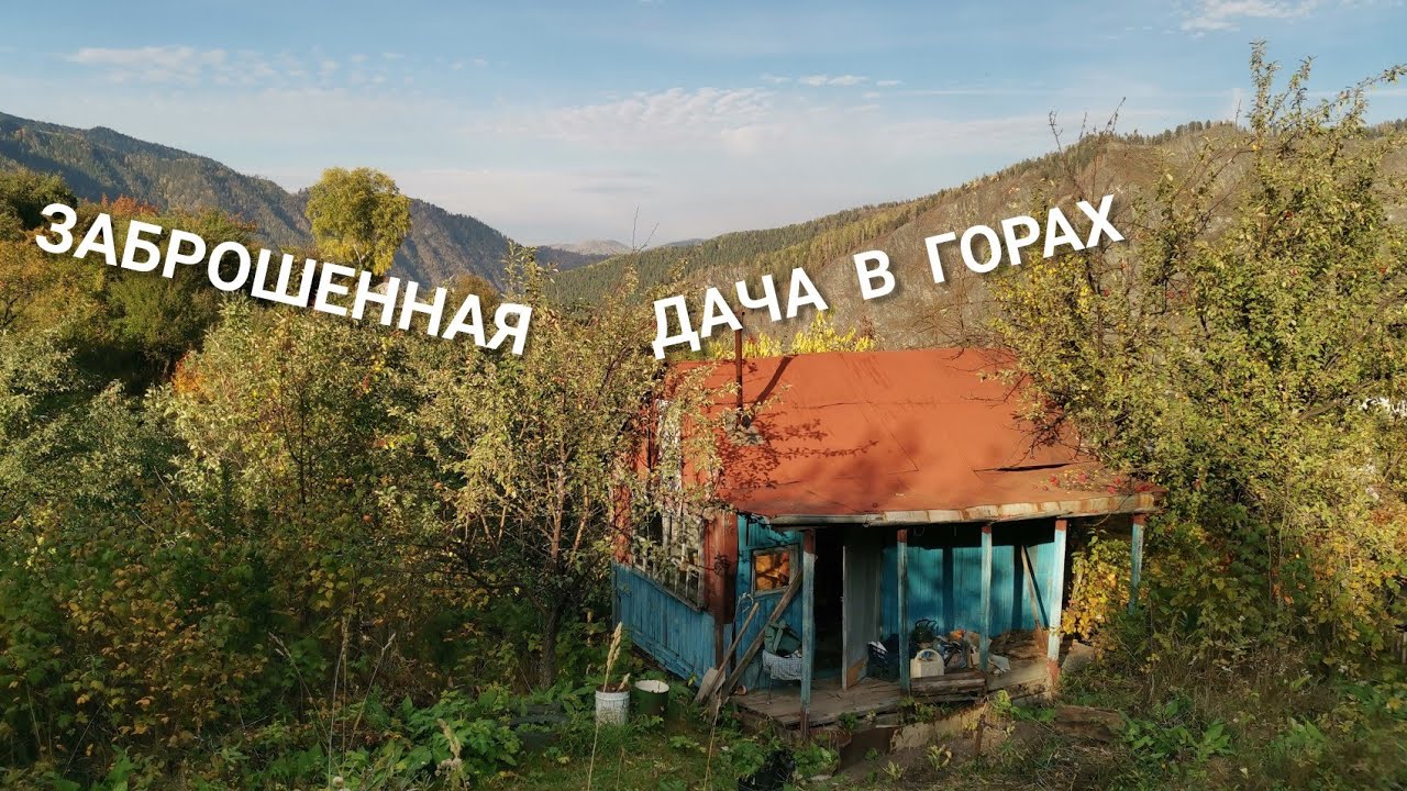 КУПИЛА ЗОБРОШЕННУЮ ДАЧУ В ГОРАХ Сибири | Собираю урожай Высаживаю розы