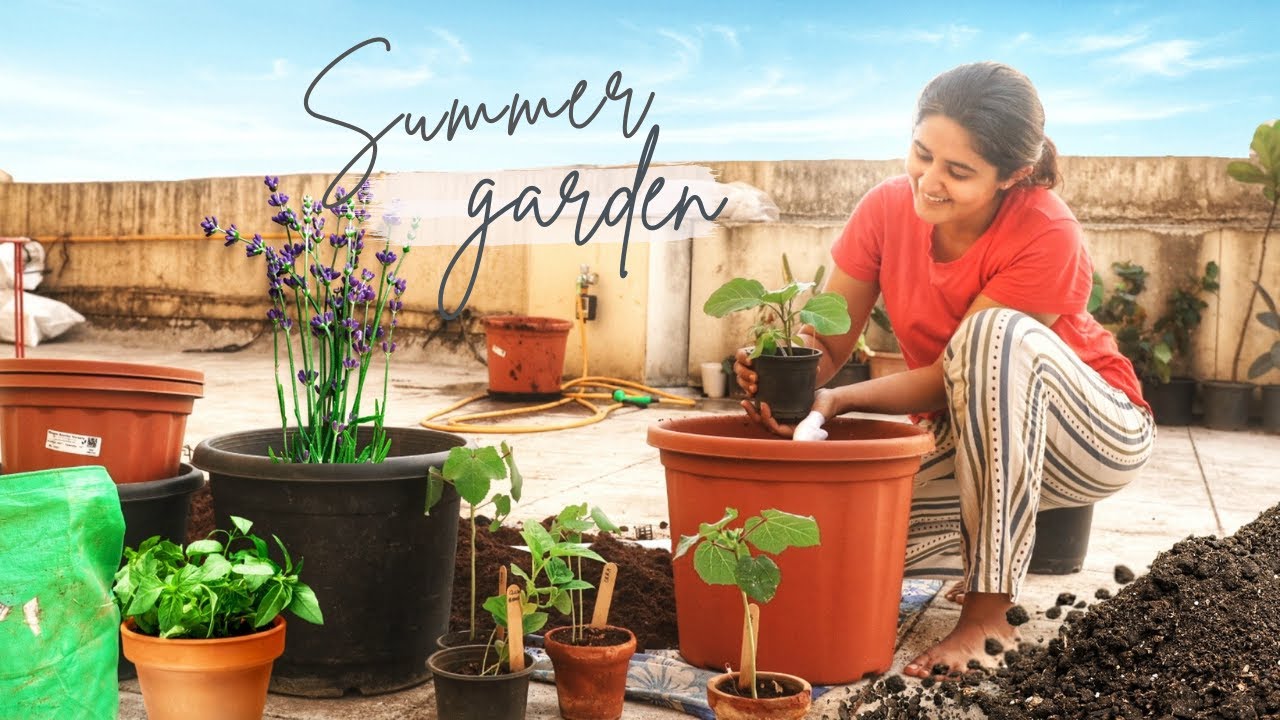 Vegetable Summer Garden status in 30 days | Expectations, failures and success