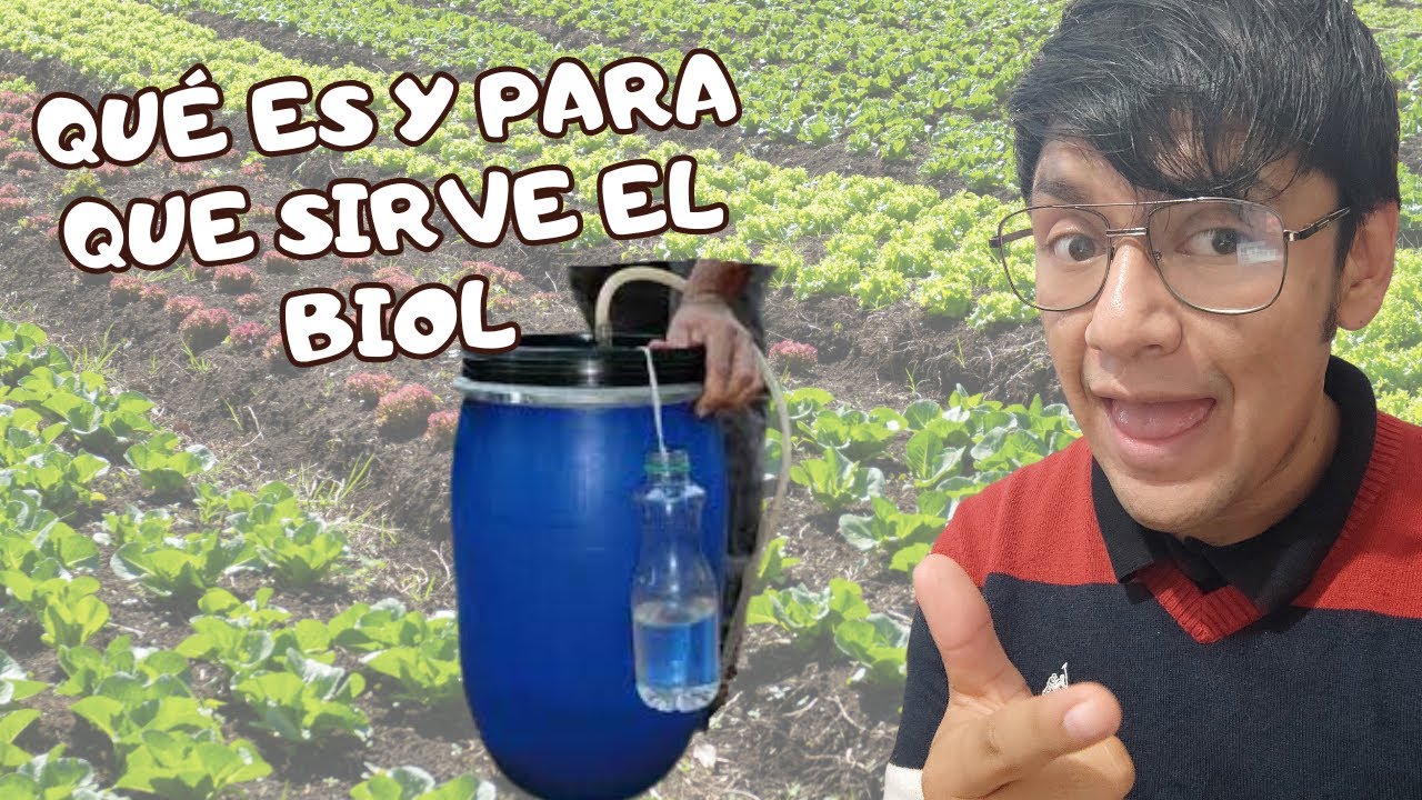 Que es el BIOL y para que sirve, La mejor manera de hacerlo!