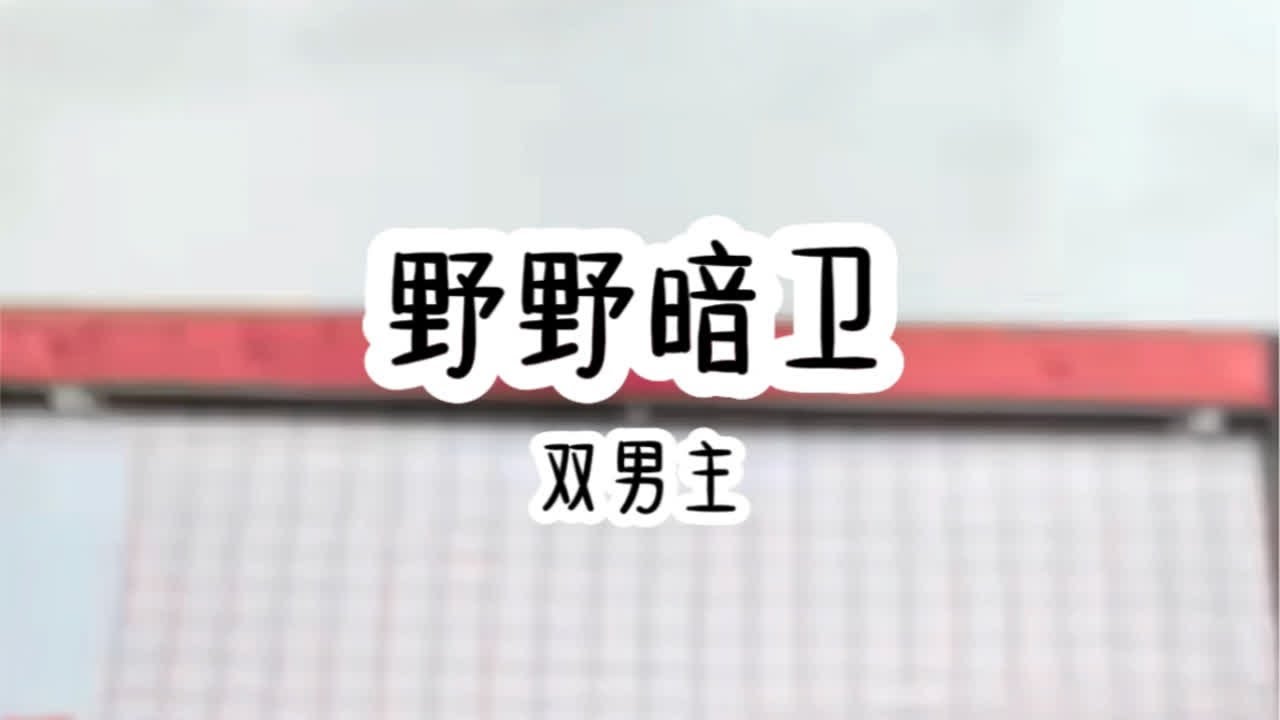 双男主，皇上暗卫，穿越，有系统，有任务。皇上攻转受。暗卫受转攻。看此文请勿带脑子，主打一个爽文，愉快恋爱，双向奔赴，甜宠。前期有轻虐身，不虐心。