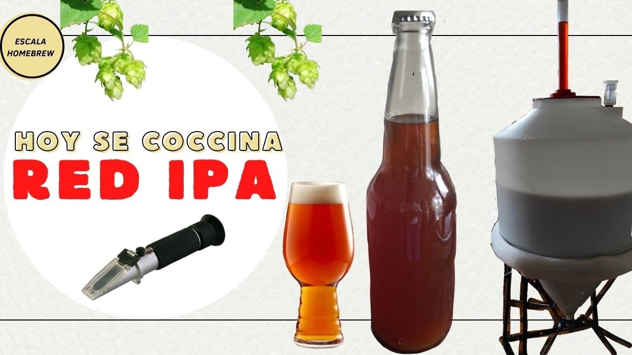 Prepara tu propia Cerveza Red IPA, Cerveza Artesanal en Casa, HomeBrew, Cerveza Artesanal Saga.