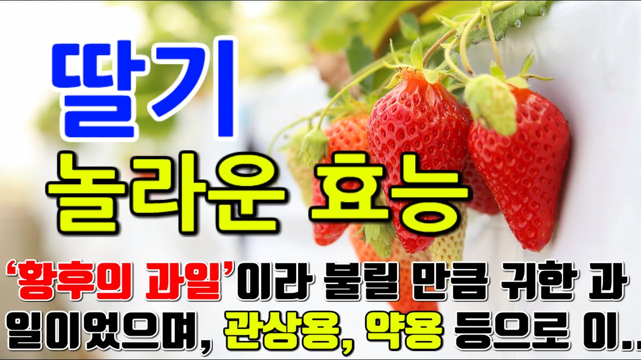딸기의 놀라운 효능 9가지 & 부작용 / 