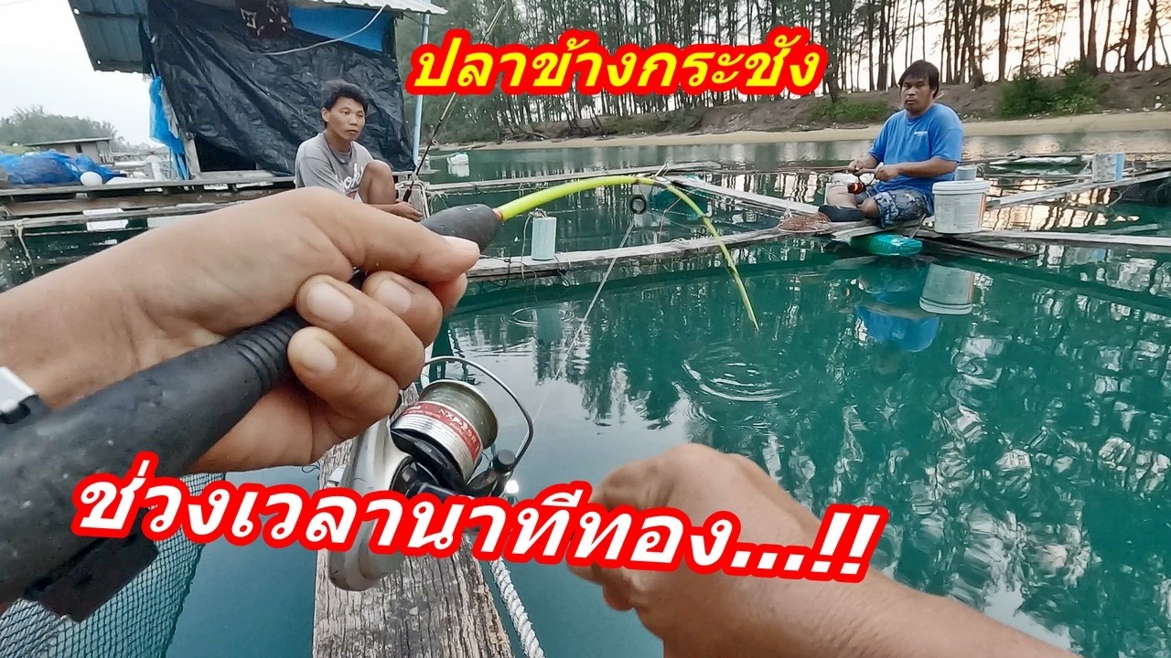 เวลานาทีทองปลากินเหยื่อดีมีแค่ช่วงเดียว