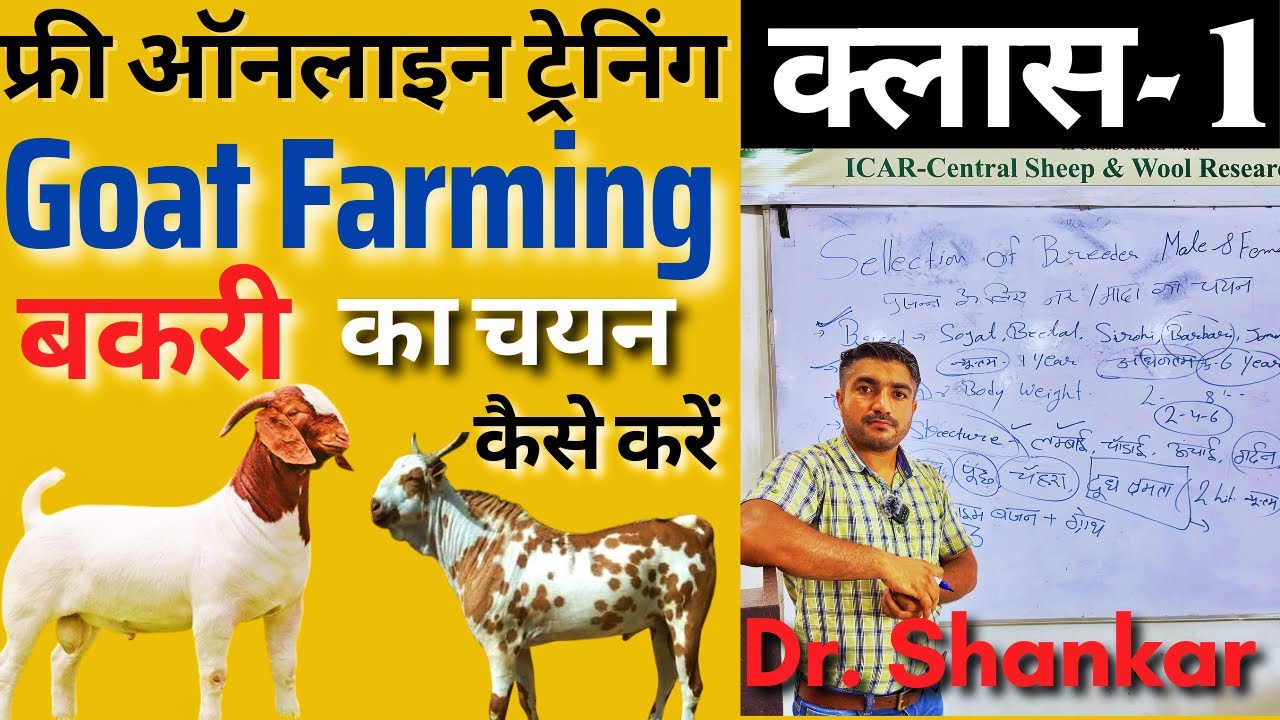 Free Online Goat Farming Training Class-1 👍बकरी पालन प्रशिक्षण 👍Selection of Goat #goat #training
