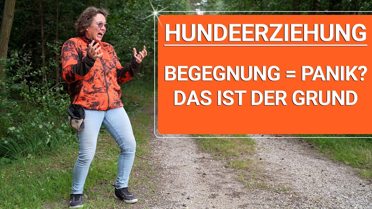 💥🐶 Hundeerziehung neu denken 👉 Schluss mit Festhalten & Bremsen!  🐶💥✔️
