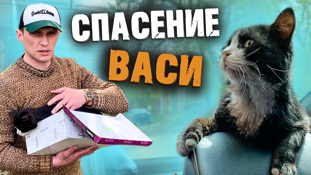 HE NEEDS TO BE SAVED URGENTLY 😱 // SERGEY'S CAT