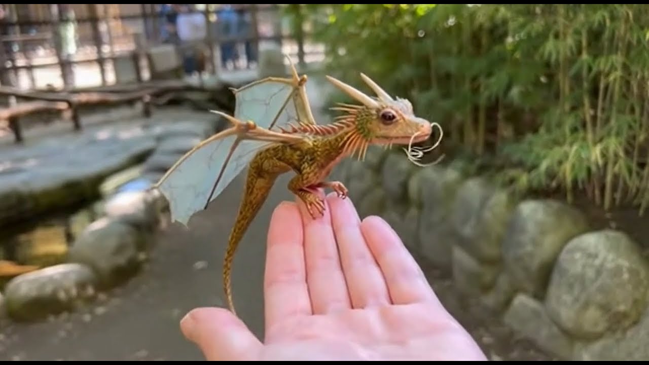 龍種保護センター散策してみた