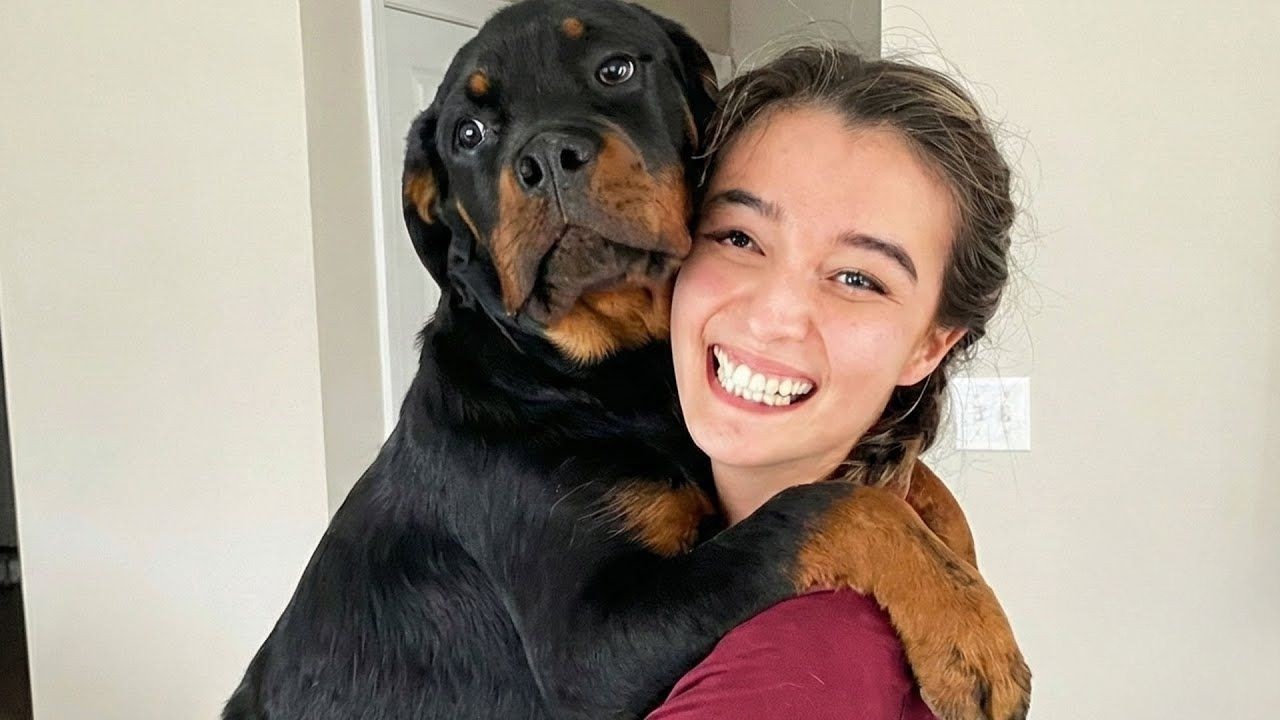 Proof Some Dogs Are Basically Human