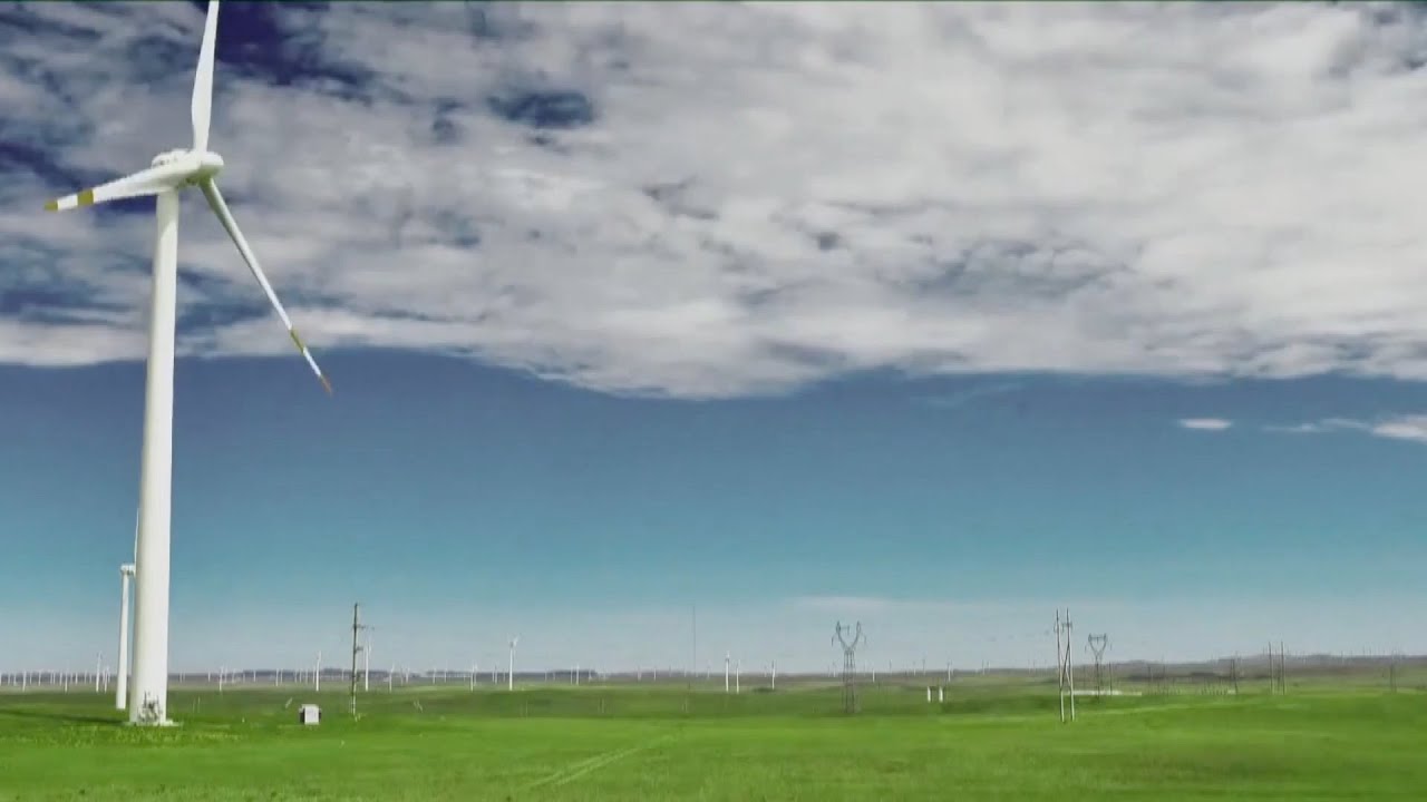 GLOBALink | China making huge progress in tackling climate change impacts: Ashden CEO