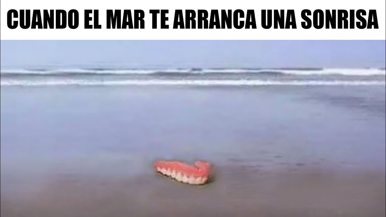 MEMES RANDOM #119