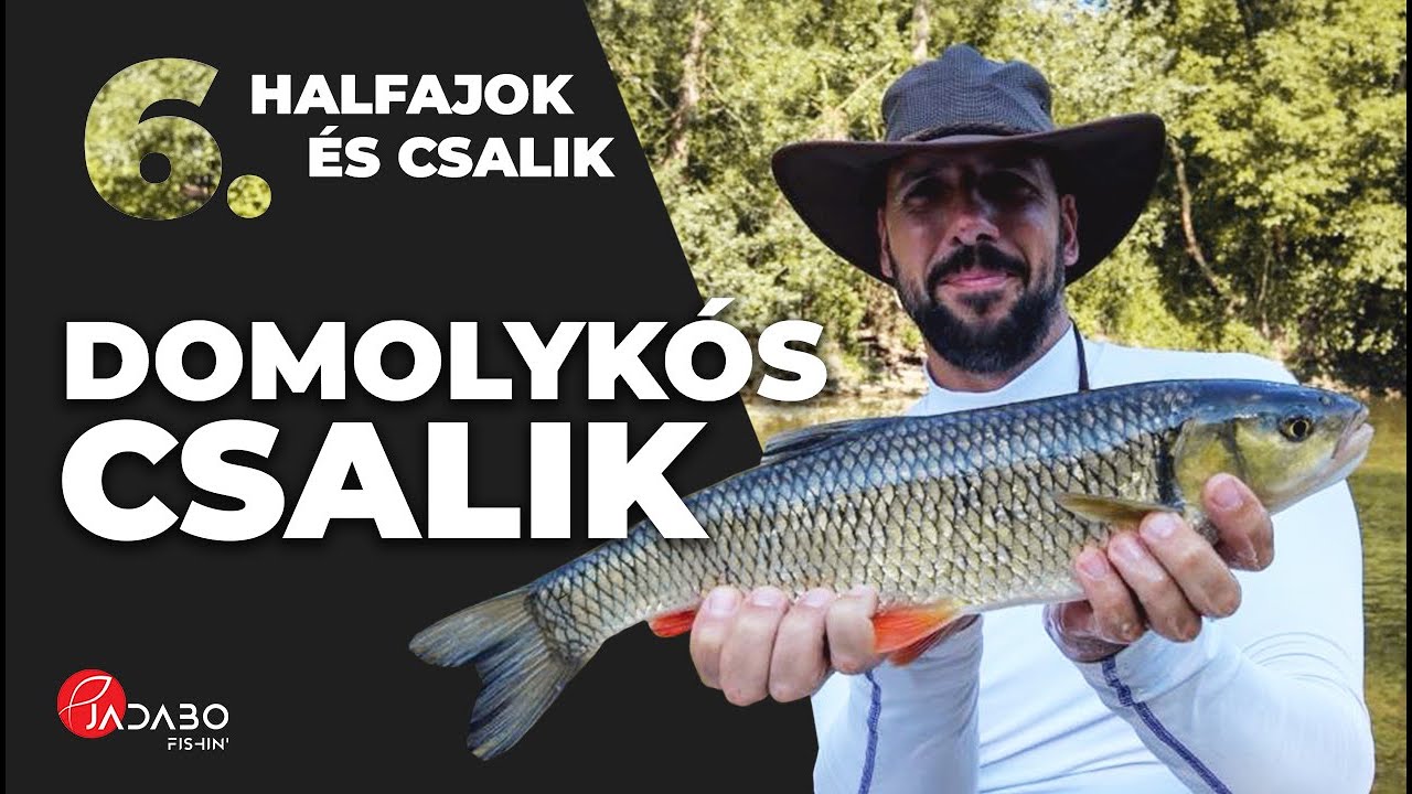 Halfajok &eacute;s csalik 6. r&eacute;sz: domolyk&oacute;s csalik
