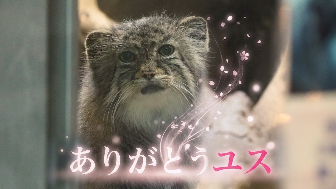 【追悼】ありがとうユス🌈