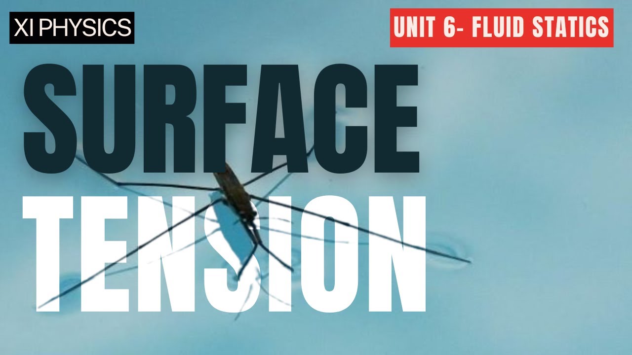 Surface Tension - Unit 6 Fluid Statics - Class 11 -#TP11 63