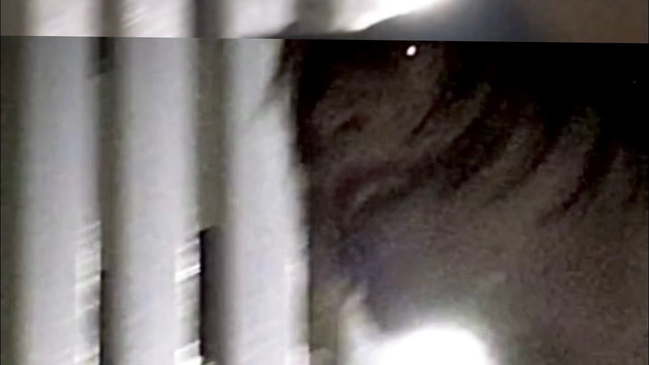 AssToro - cesium (OLD iPhone Video) 「Dir.asstoro」.ืืืืื็็็็็ฺฺฺฺฺ
