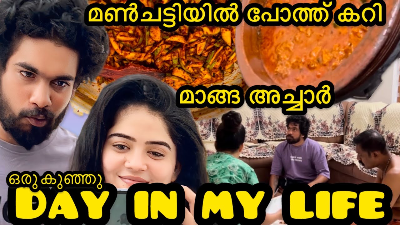 DAY IN MY LIFE | പോത്ത് കറി | മാങ്ങ അച്ചാർ | My Bella 🐾 #dayinthelife #abhisree #dayinmylifevlog