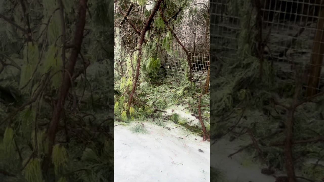 Tennessee Ice Storm 2026