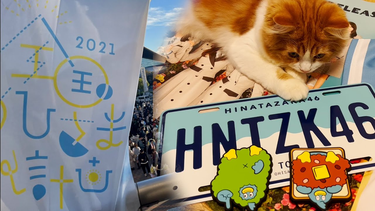 【おひさま猫】子猫に日向坂４６のライブのお土産を買ってきました