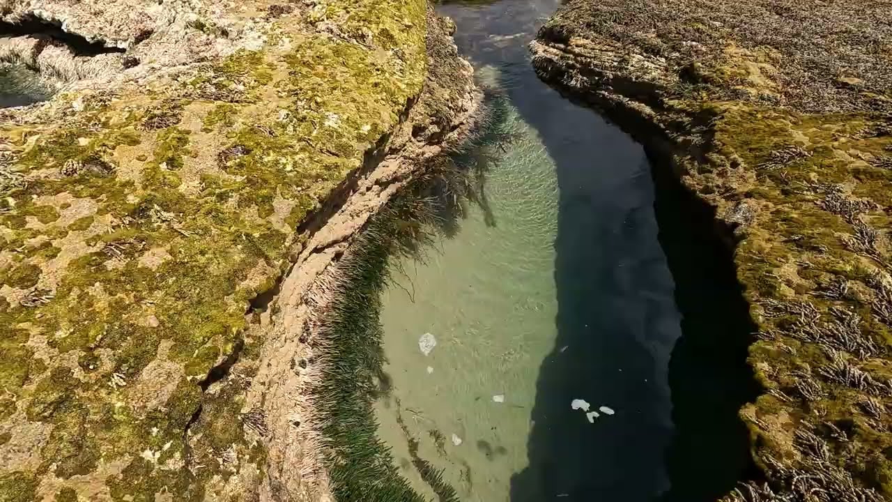 Amazing Rock Pools | 13th Beach | Barwon Heads | Victoria Australia | 4K