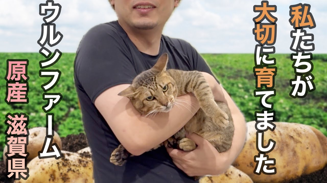 私達が、大切に育てました。