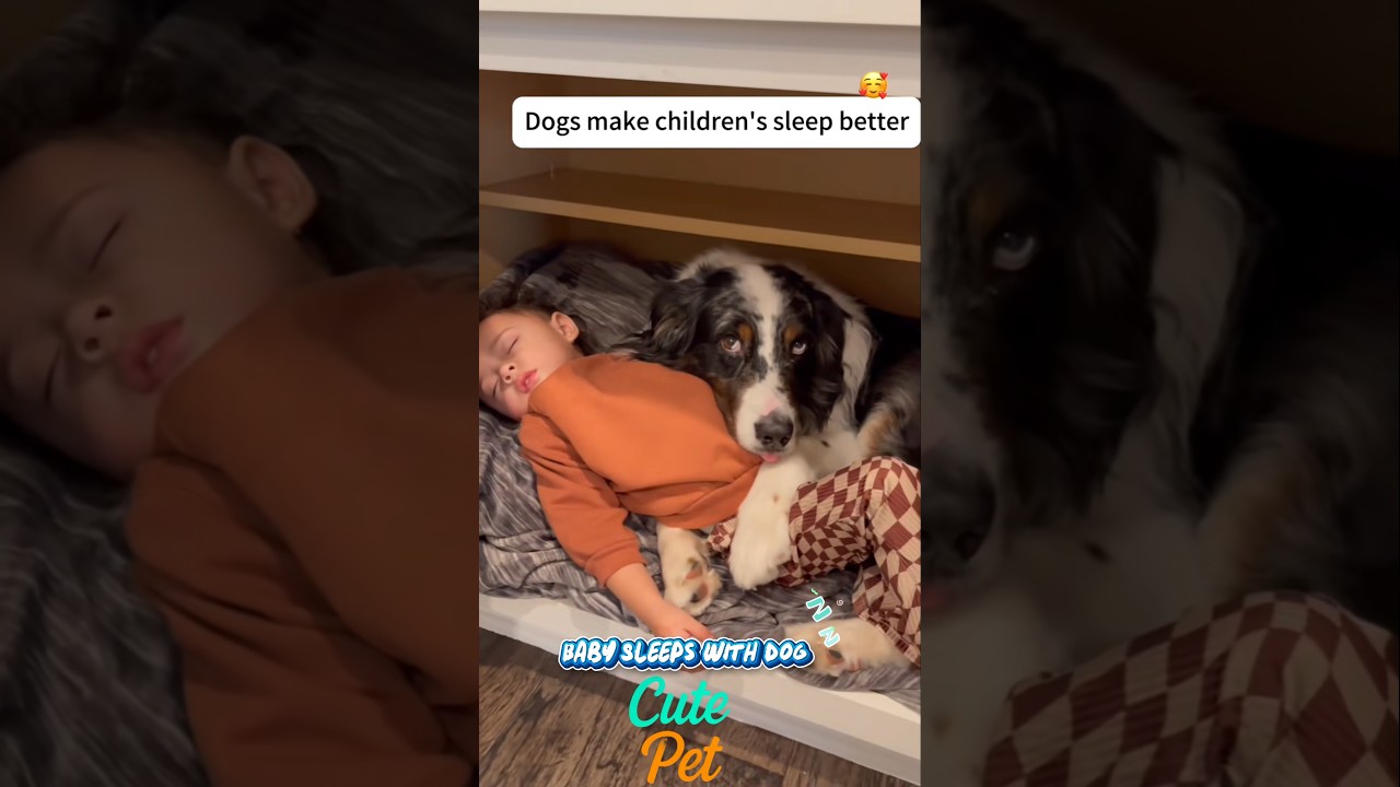 Baby Sleeps With Dog 💤💤🐶 #dog #baby #pet #puppy #sleep